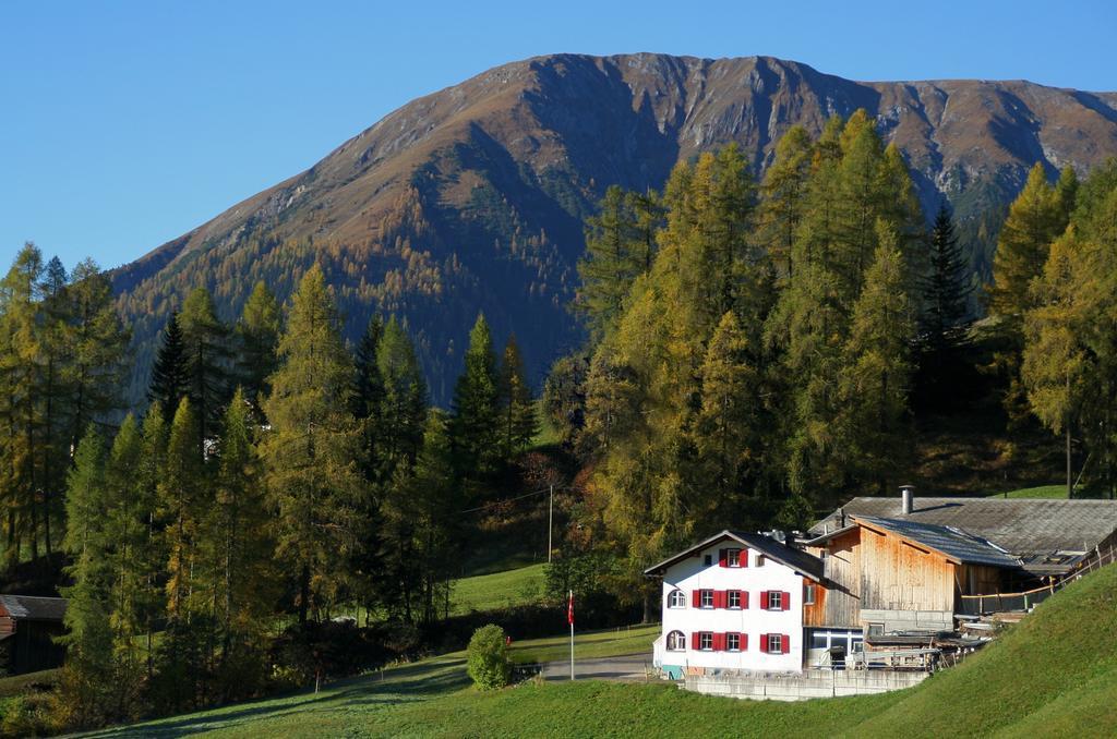 Bnb Guesthouse Lusi Frauenkirch Exteriör bild