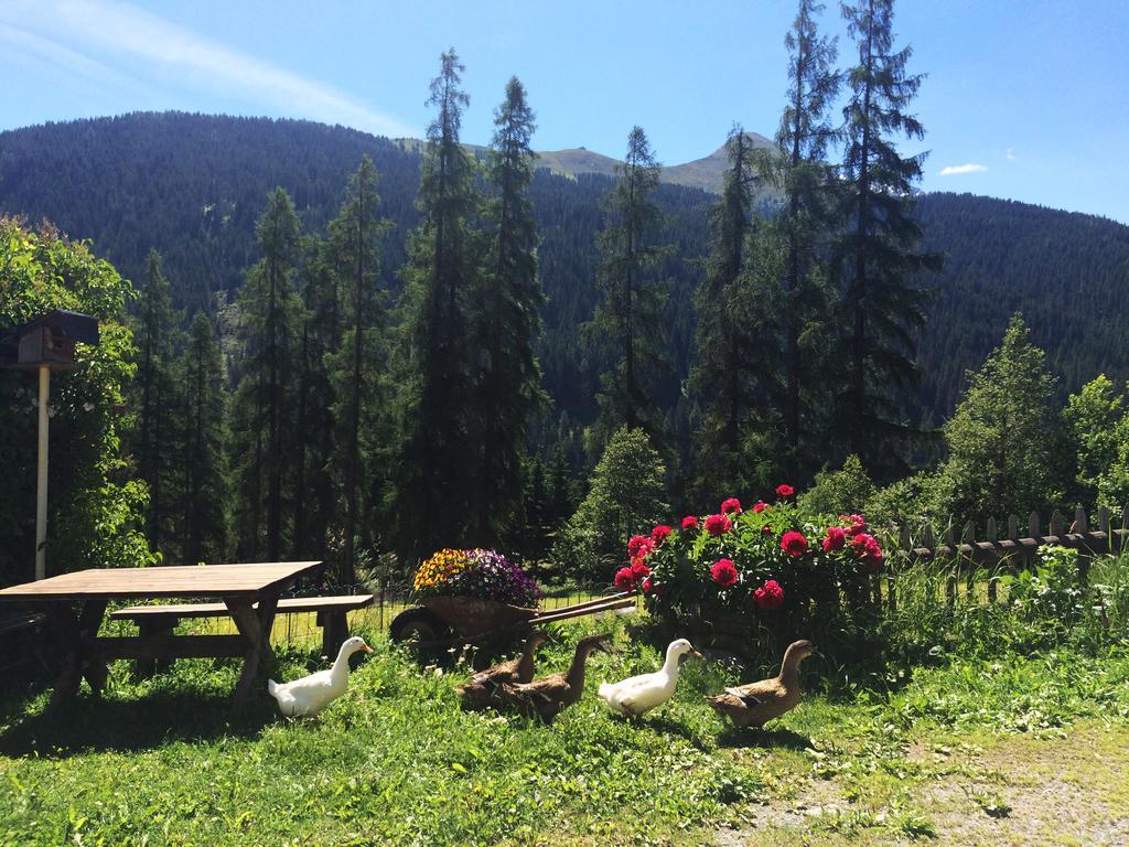 Bnb Guesthouse Lusi Frauenkirch Exteriör bild
